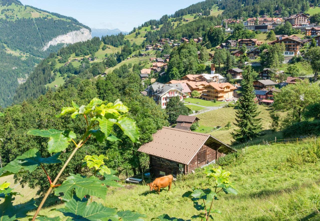Panoramapark Soleil Chalet B 벤겐 외부 사진